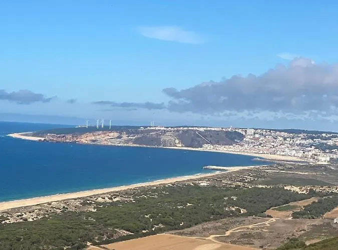 Rito's Paradise נאזרה