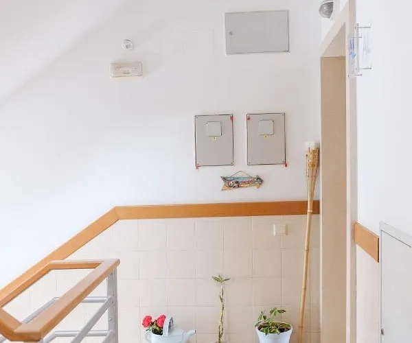 Rito's Paradise Назаре